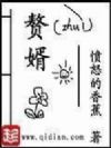 赘婿
