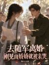 去随军离婚,刚见面娇娇就被亲哭