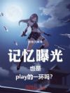 记忆曝光也是play的一环吗?
