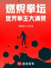 燃烬拳坛:世界拳王大满贯