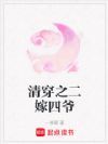 清穿之二嫁四爷