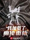 我加载了癫佬面板