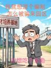 我就想混个编制,怎么被骗来园区